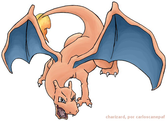 Charizard CCF